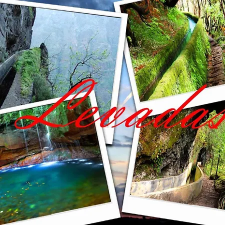 Serenity House * Ribeira Brava